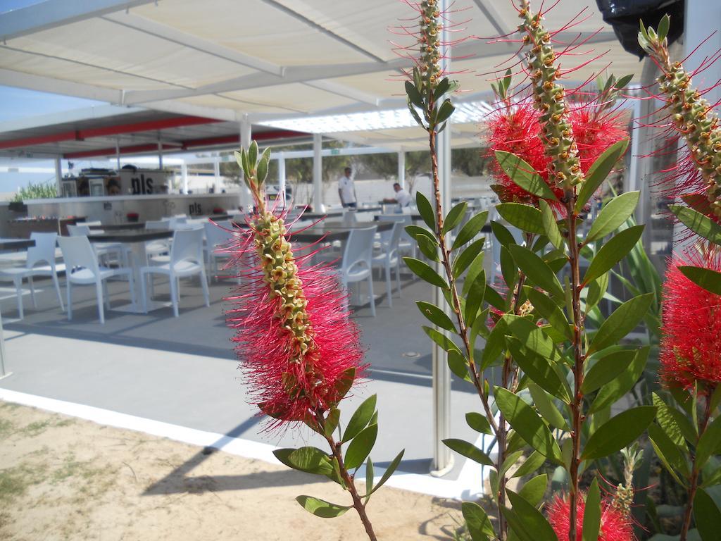 Hotel Masseria Fortificata Donnaloia 모노폴리 외부 사진